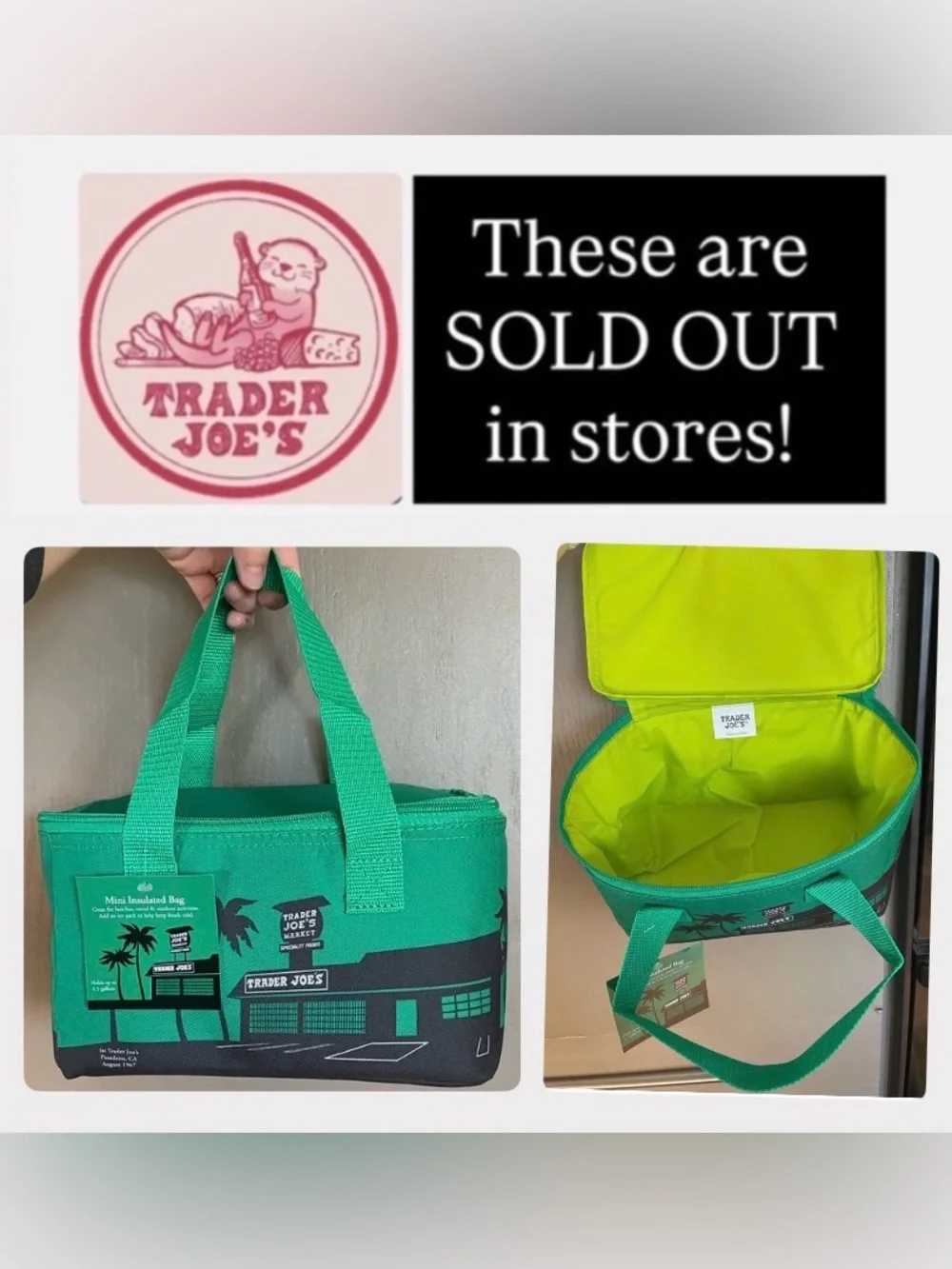 🌺NWT Trader Joe's Green w/Lime Insulated Mini Tote Bag - Holiday 2025